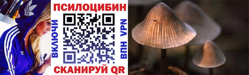 Галлюциногенные грибы Cubensis  Бологое 